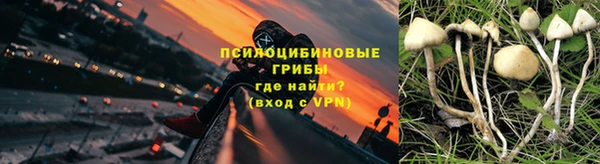 амф Переславль-Залесский