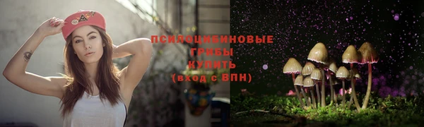 СК Пересвет