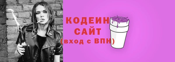 индика Покров