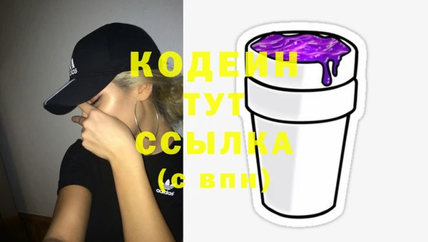 СК Пересвет