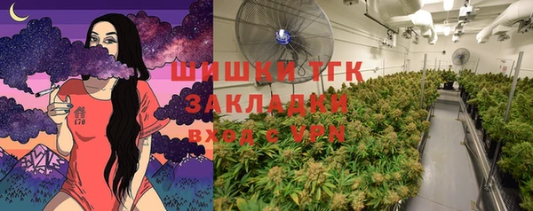 индика Покров