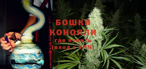 индика Покров