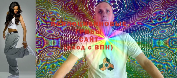 2c-b Покачи