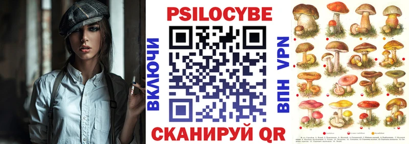 купить   Чехов  Псилоцибиновые грибы Psilocybine cubensis 